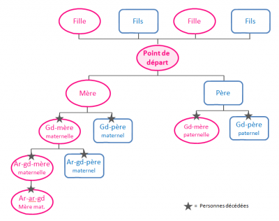 Arbre genealogique