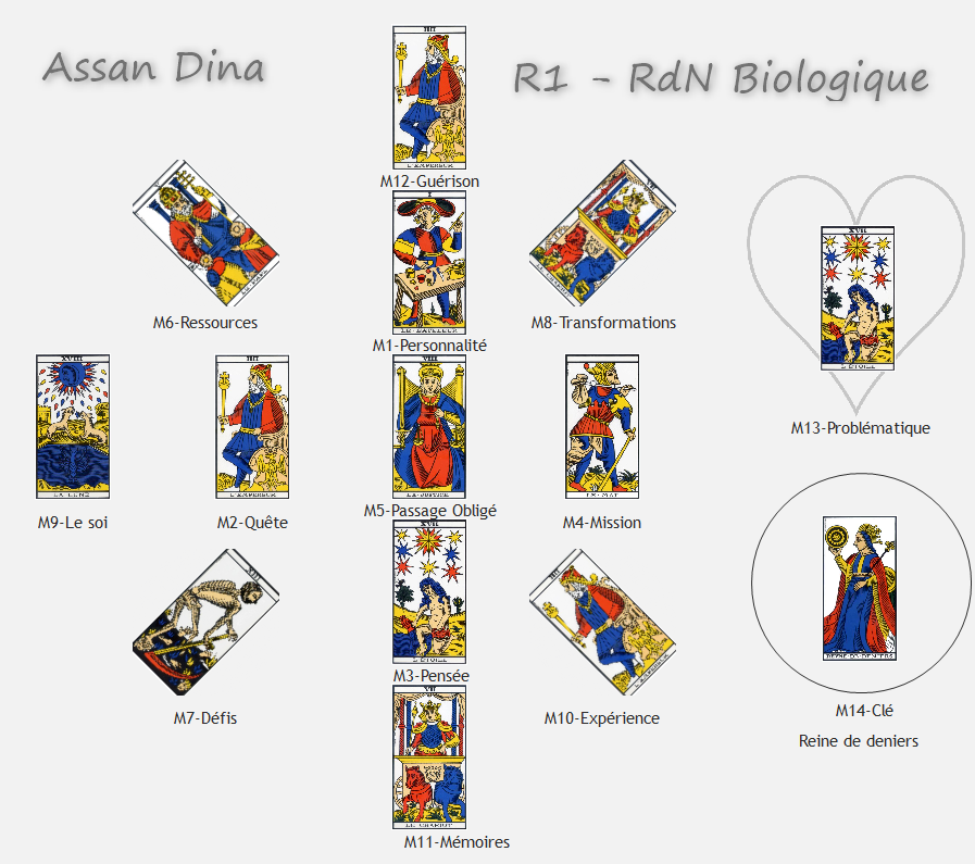 R1 rdn biologique