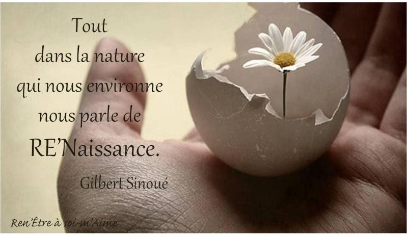 Tout ds la nature re naissance g simone